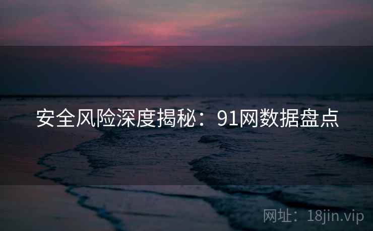 安全风险深度揭秘：91网数据盘点