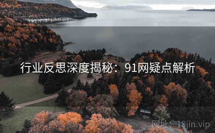行业反思深度揭秘：91网疑点解析